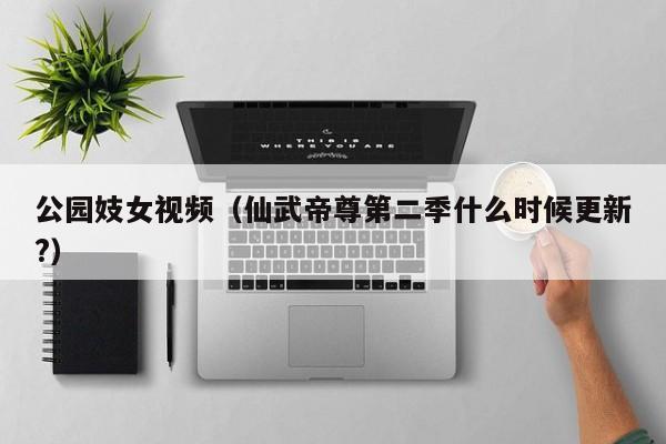 公园妓女视频(仙武帝尊第二季什么时候更新?)