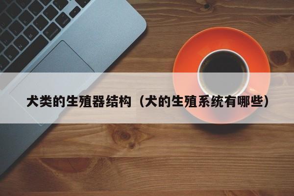 犬类的生殖器结构(犬的生殖系统有哪些)