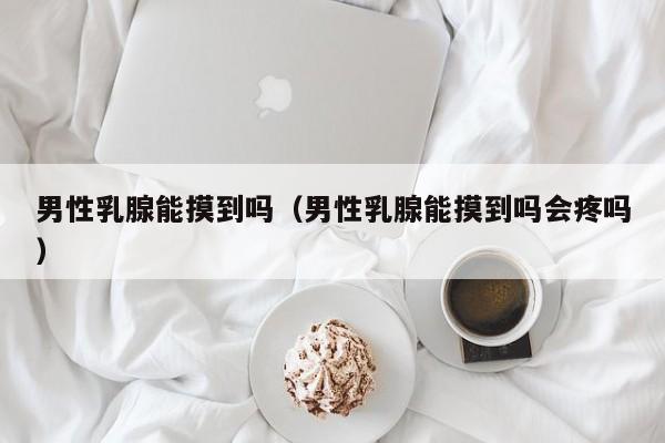 男性乳腺能摸到吗(男性乳腺能摸到吗会疼吗)