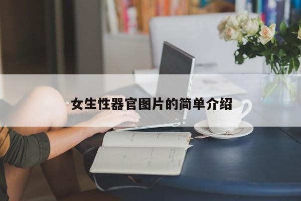 女生性器官图片的简单介绍
