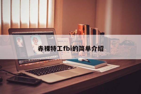 赤裸特工fbi的简单介绍