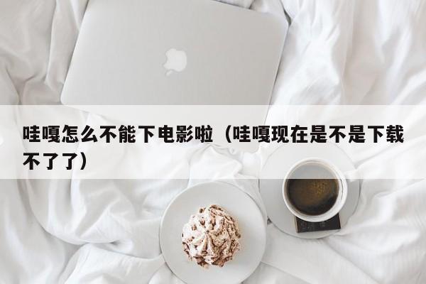 哇嘎怎么不能下电影啦(哇嘎现在是不是下载不了了)