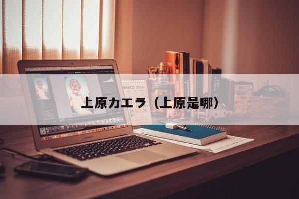 上原カエラ(上原是哪)