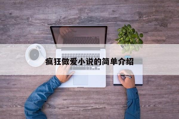 疯狂做爱小说的简单介绍