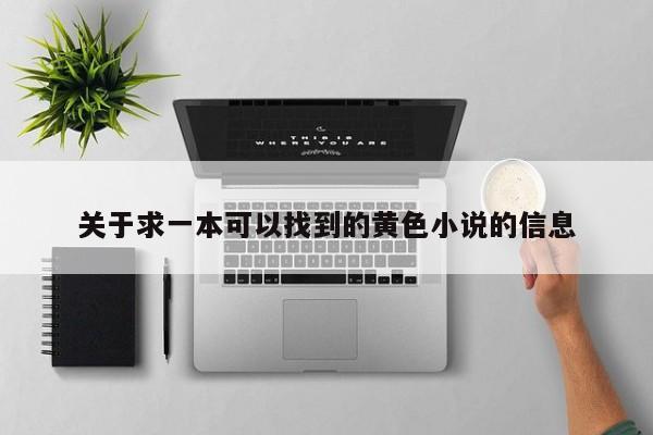 关于求一本可以找到的黄色小说的信息