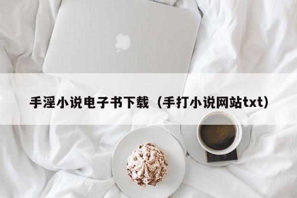 手淫小说电子书下载(手打小说网站txt)