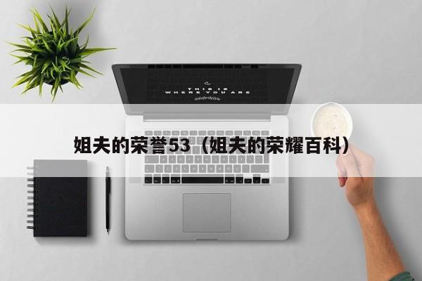 姐夫的荣誉53(姐夫的荣耀百科)