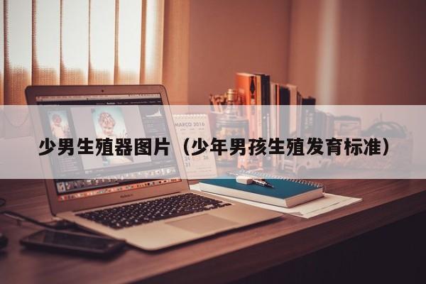少男生殖器图片(少年男孩生殖发育标准)