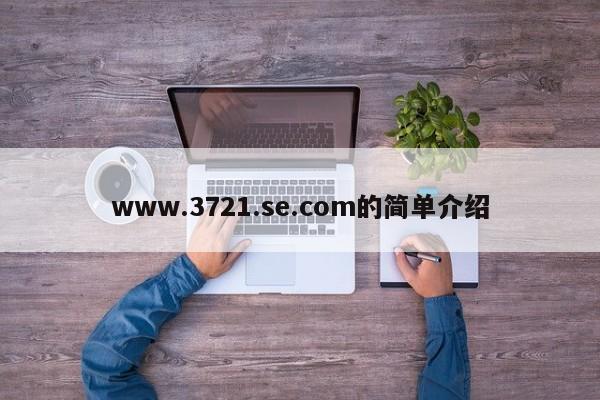 www.3721.se.com的简单介绍