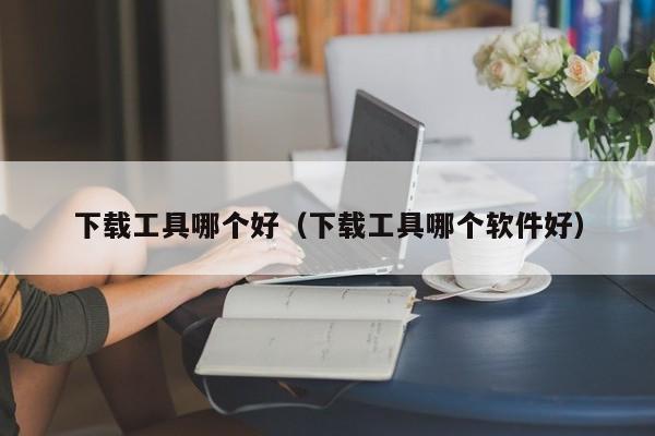 下载工具哪个好(下载工具哪个软件好)