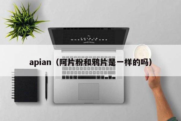 apian(阿片粉和鸦片是一样的吗)