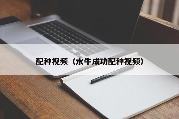 配种视频(水牛成功配种视频)