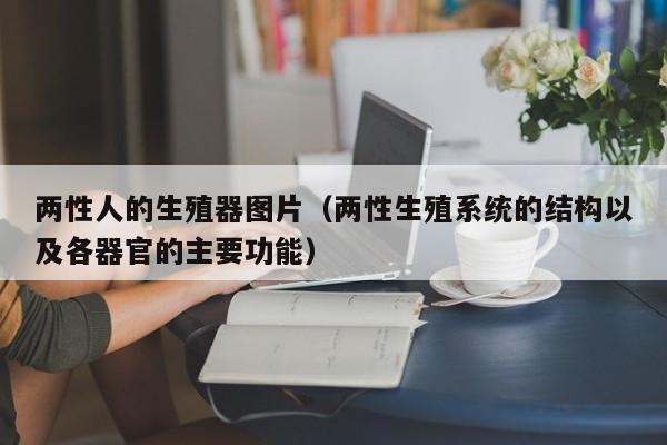 两性人的生殖器图片(两性生殖系统的结构以及各器官的主要功能)