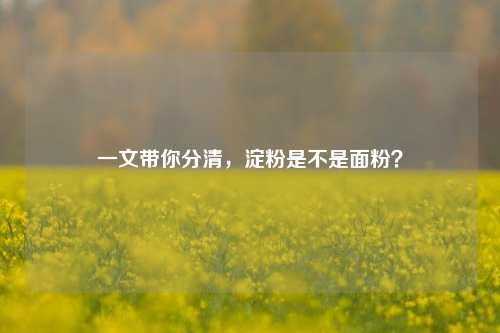 一文带你分清,淀粉是不是面粉?