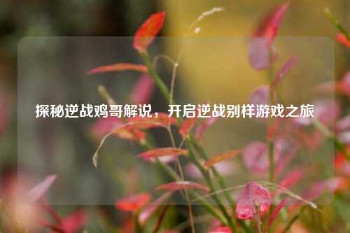 探秘逆战鸡哥解说,开启逆战别样游戏之旅