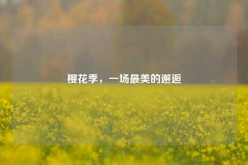 樱花季,一场最美的邂逅