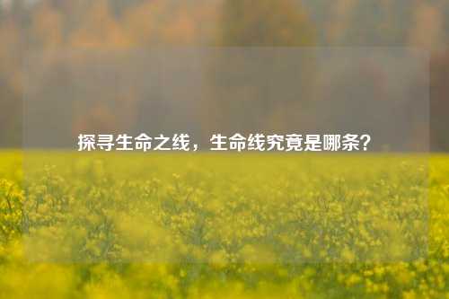 探寻生命之线,生命线究竟是哪条?