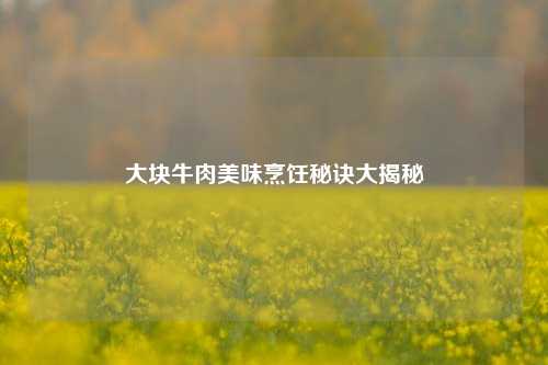 大块牛肉美味烹饪秘诀大揭秘