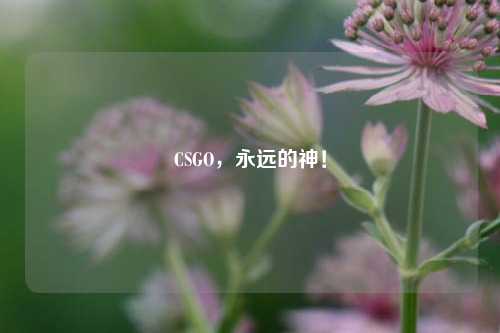 CSGO,永远的神!