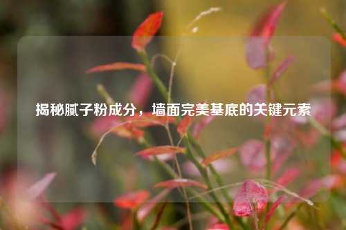 揭秘腻子粉成分,墙面完美基底的关键元素