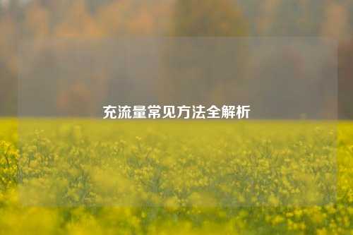 充流量常见方法全解析