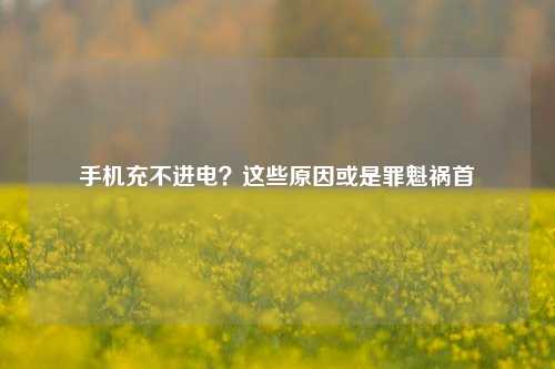 手机充不进电?这些原因或是罪魁祸首