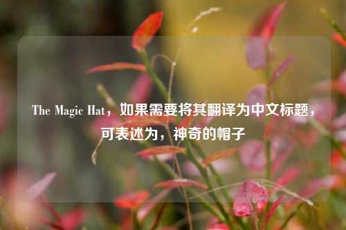 The Magic Hat,如果需要将其翻译为中文标题,可表述为,神奇的帽子