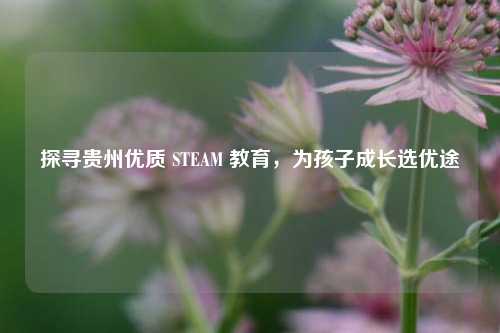 探寻贵州优质 STEAM 教育,为孩子成长选优途