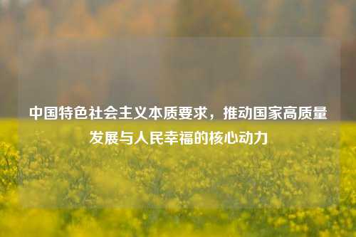 中国特色社会主义本质要求,推动国家高质量发展与人民幸福的核心动力
