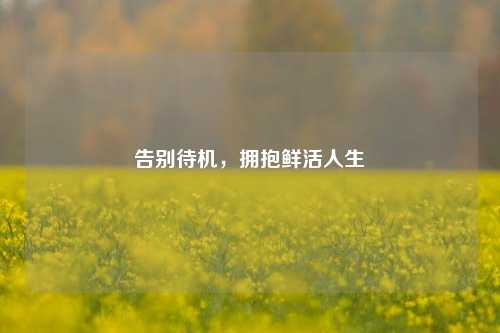 告别待机,拥抱鲜活人生