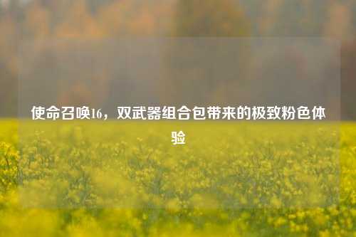 使命召唤16,双武器组合包带来的极致粉色体验