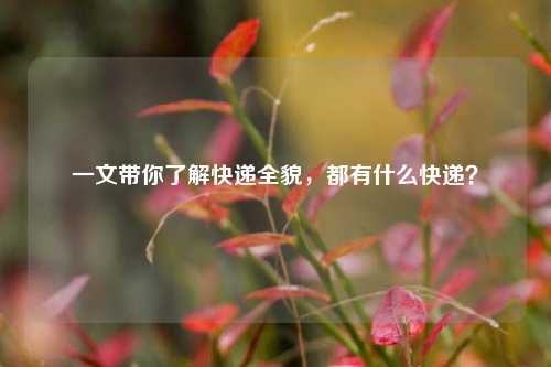 一文带你了解快递全貌,都有什么快递?
