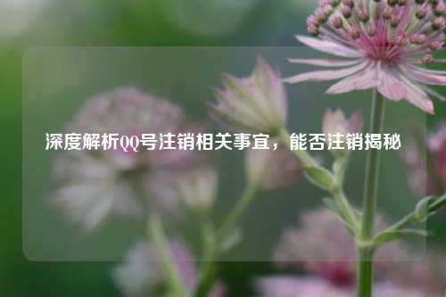 深度解析QQ号注销相关事宜,能否注销揭秘