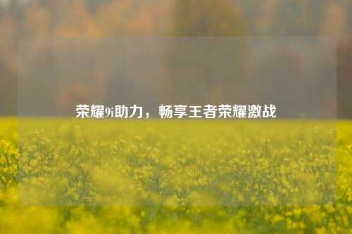 荣耀9i助力,畅享王者荣耀激战