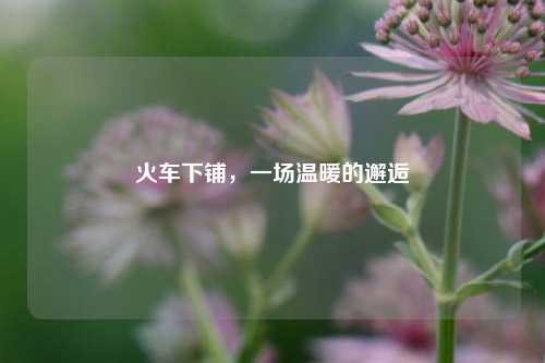 火车下铺,一场温暖的邂逅