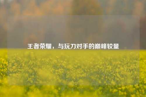王者荣耀,与玩刀对手的巅峰较量