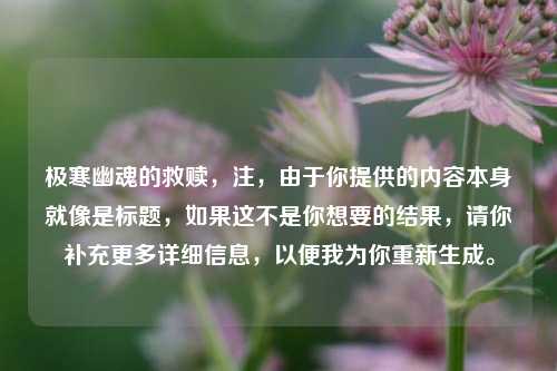 极寒幽魂的救赎,注,由于你提供的内容本身就像是标题,如果这不是你想要的结果,请你补充更多详细信息,以便我为你重新生成。