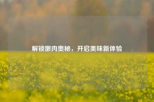 解锁嫩肉奥秘,开启美味新体验