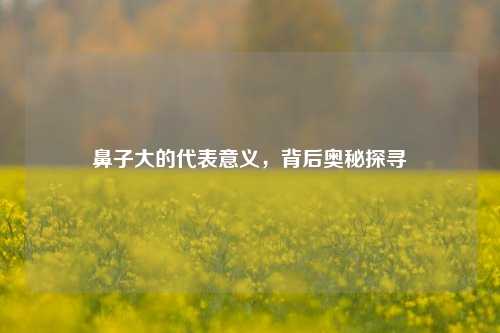 鼻子大的代表意义,背后奥秘探寻