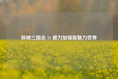 探秘三国志 11 威力加强版魅力世界