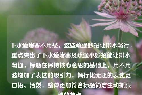 下水道堵塞不用愁,这些疏通妙招让排水畅行,重点突出了下水道堵塞及疏通小妙招能让排水畅通,标题在保持核心意思的基础上,用不用愁增加了表达的吸引力,畅行比无阻的表述更口语、活泼,整体更加符合标题简洁生动抓眼球的特点。