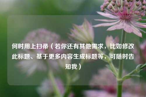 何时用上扫帚(若你还有其他需求,比如修改此标题、基于更多内容生成标题等,可随时告知我)