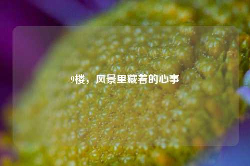 9楼,风景里藏着的心事