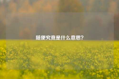 随便究竟是什么意思?