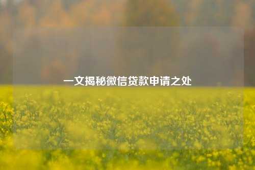 一文揭秘微信贷款申请之处