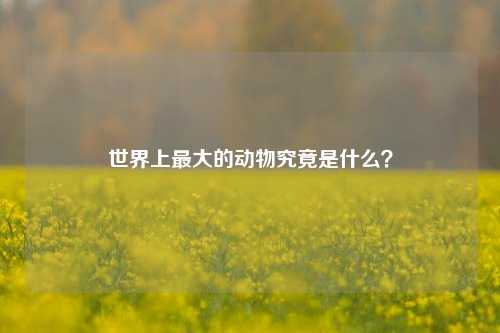 世界上最大的动物究竟是什么？