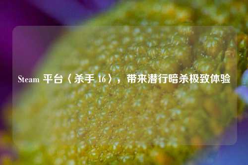 Steam 平台〈杀手 16〉,带来潜行暗杀极致体验