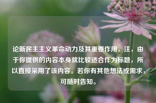 论新民主主义革命动力及其重要作用,注,由于你提供的内容本身就比较适合作为标题,所以直接采用了该内容。若你有其他想法或需求,可随时告知。