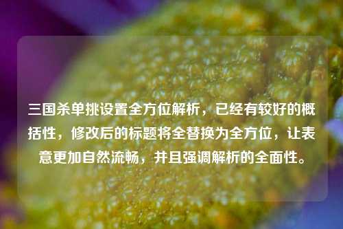 三国杀单挑设置全方位解析,已经有较好的概括性,修改后的标题将全替换为全方位,让表意更加自然流畅,并且强调解析的全面性。
