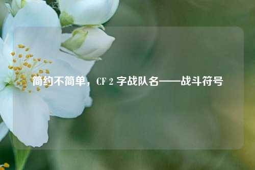简约不简单,CF 2 字战队名——战斗符号